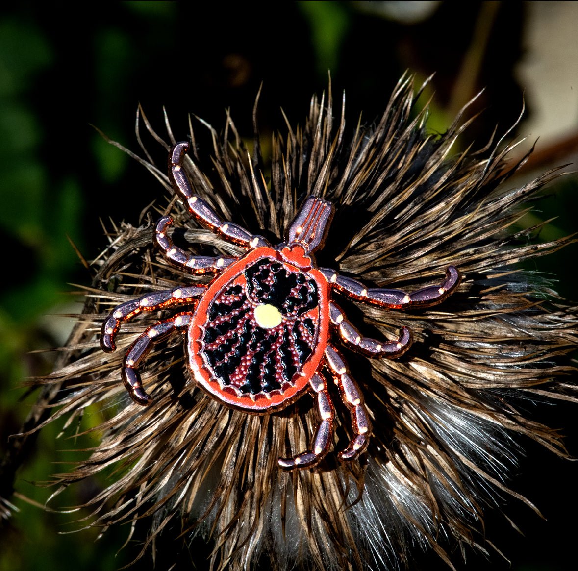 Lone Star Tick Enamel Pin by The Roving House
