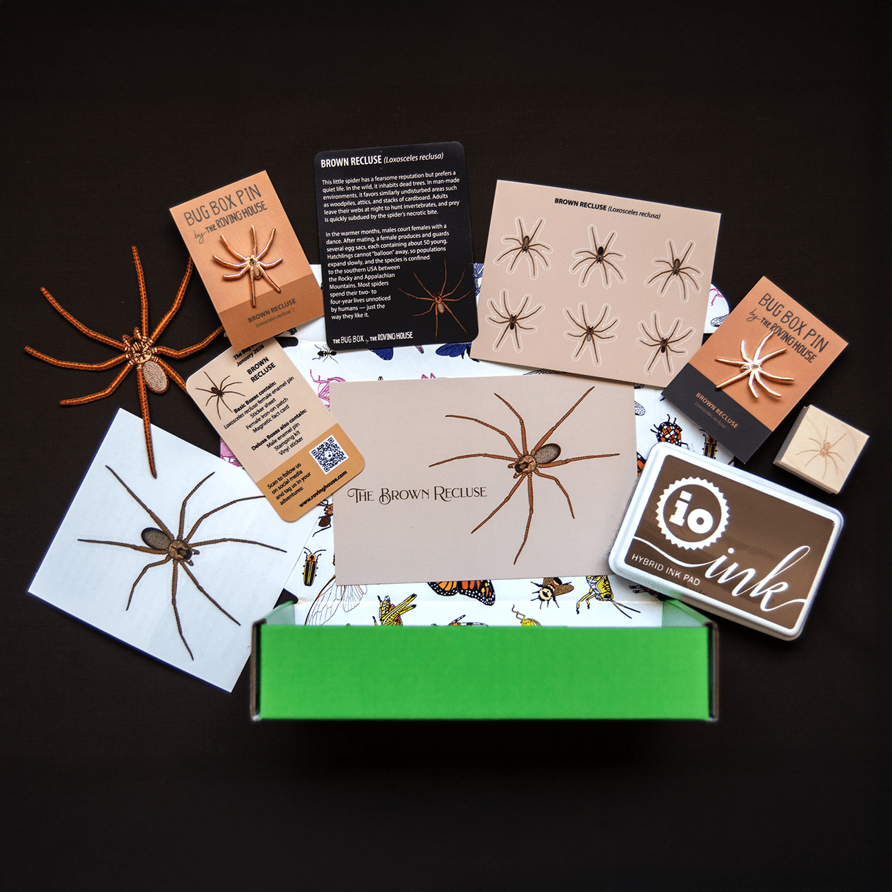 Brown Recluse Bug Box by The Roving House