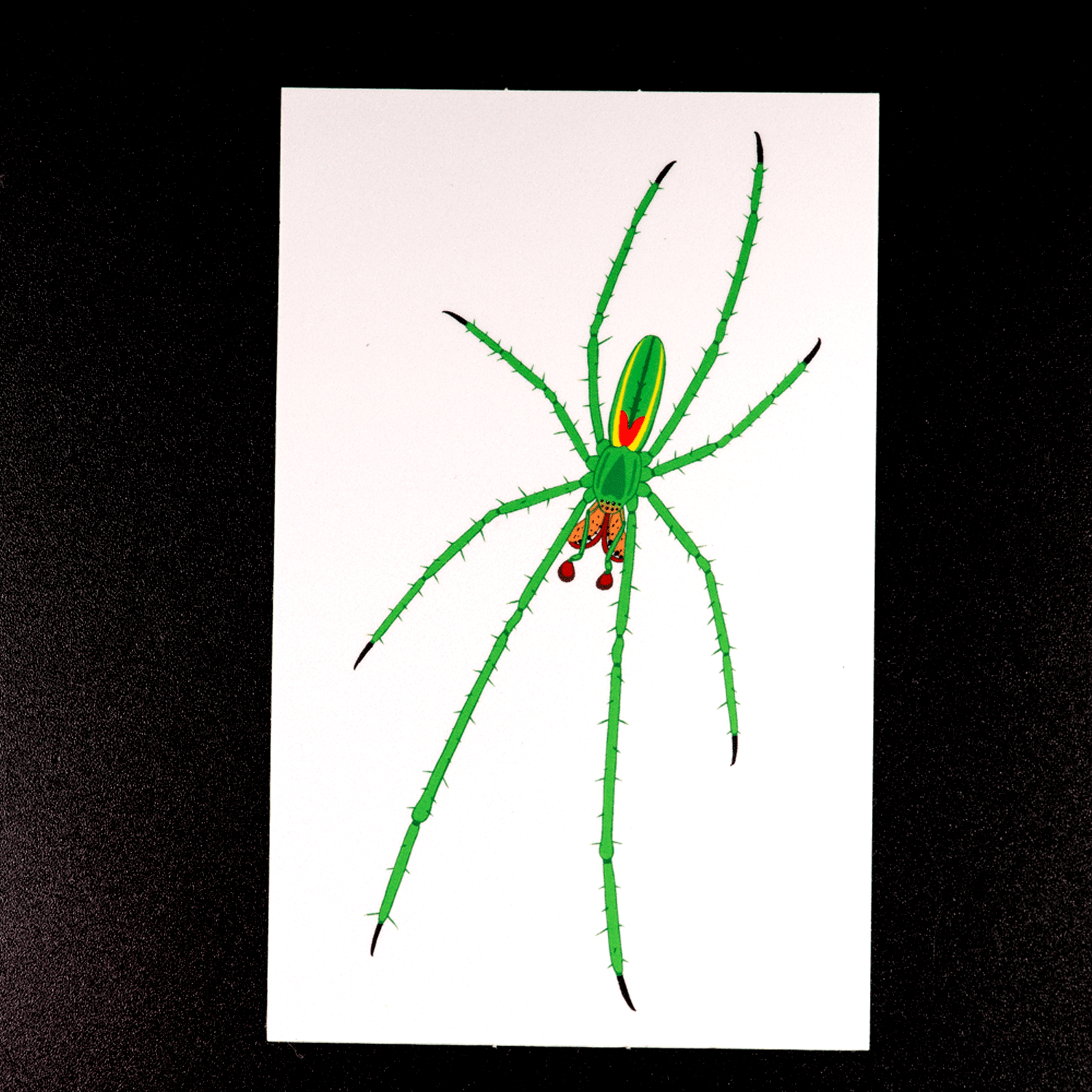 Long Jawed Orb Weaver Sticker by The Roving House