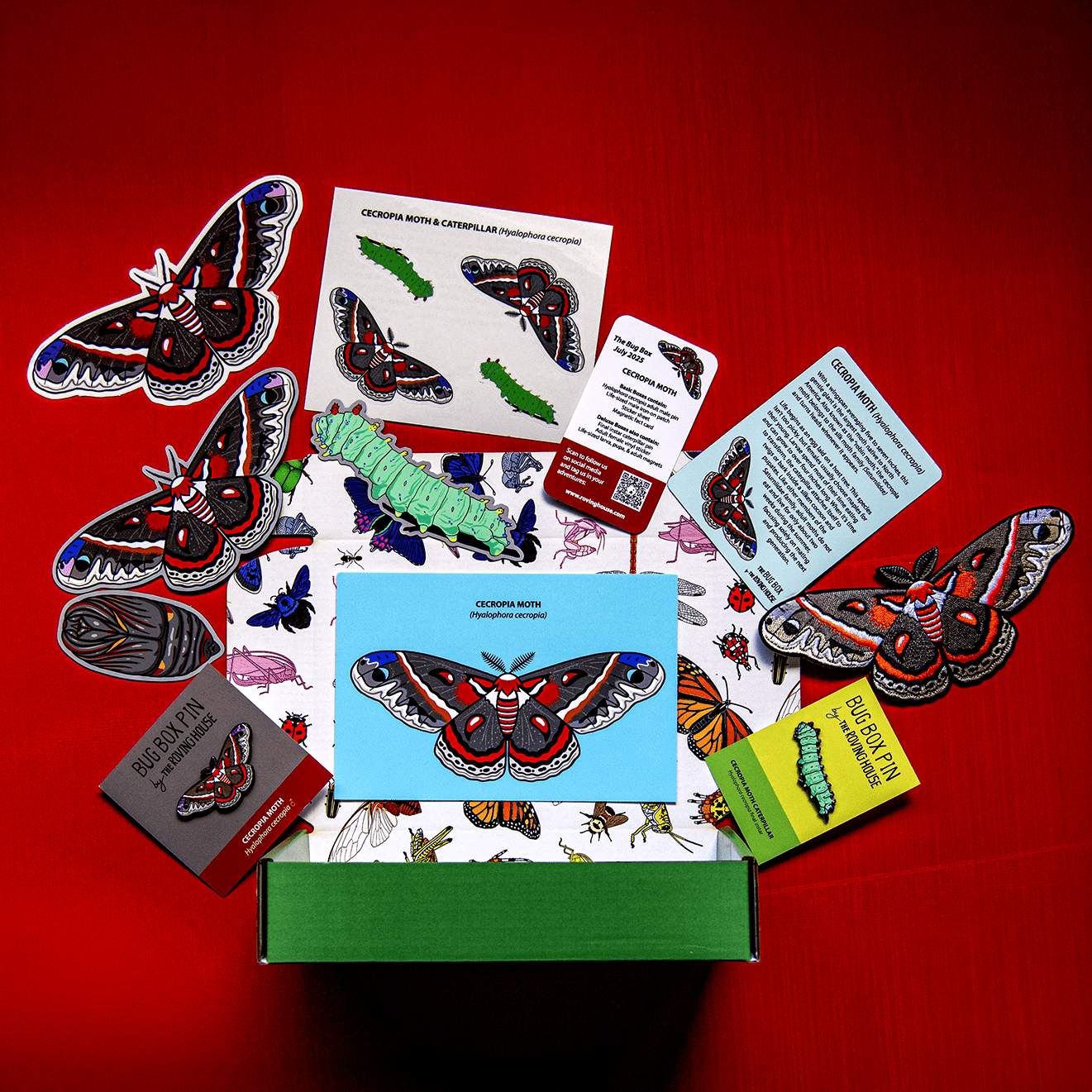 Cecropia Moth Bug Box by The Roving House