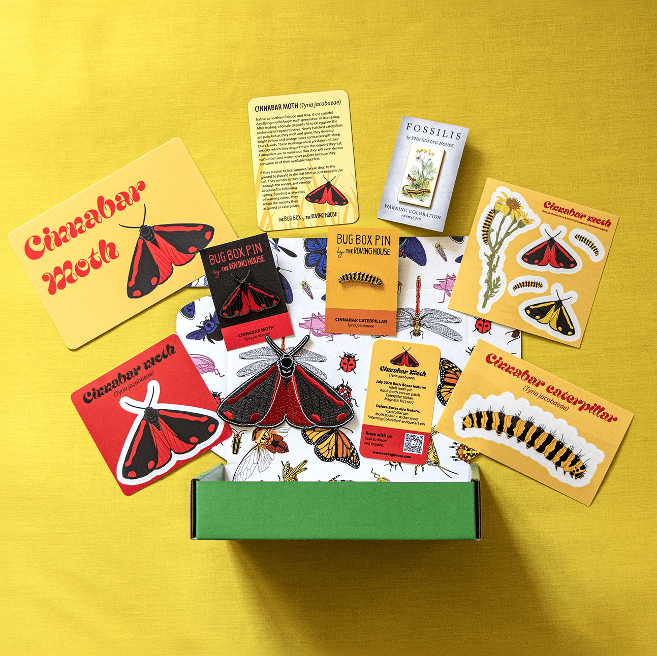Cinnabar Moth Bug Box by The Roving House