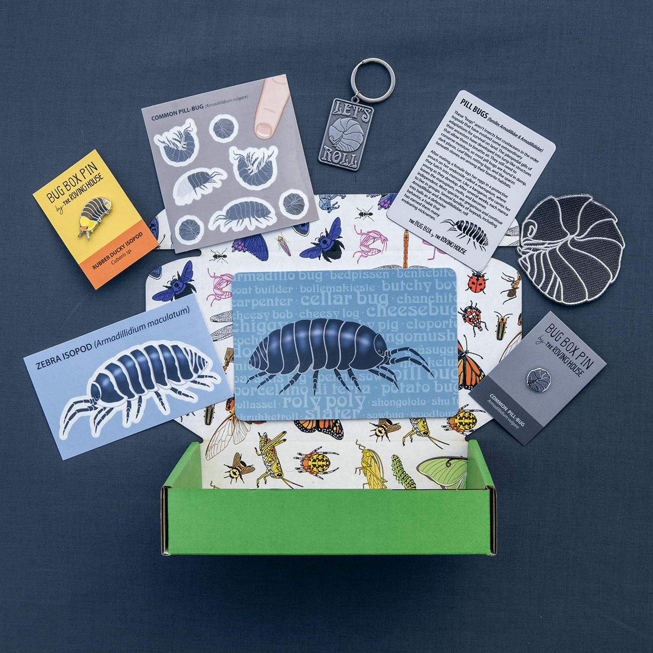 Isopod Bug Box by The Roving House