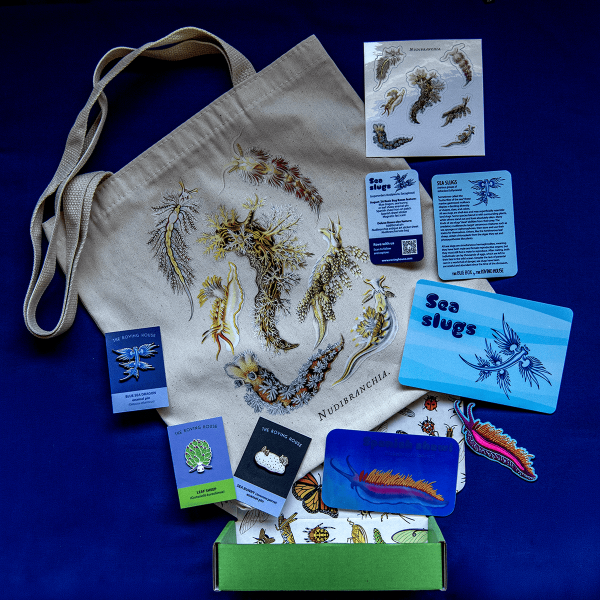Sea Slug Bug Box by The Roving House