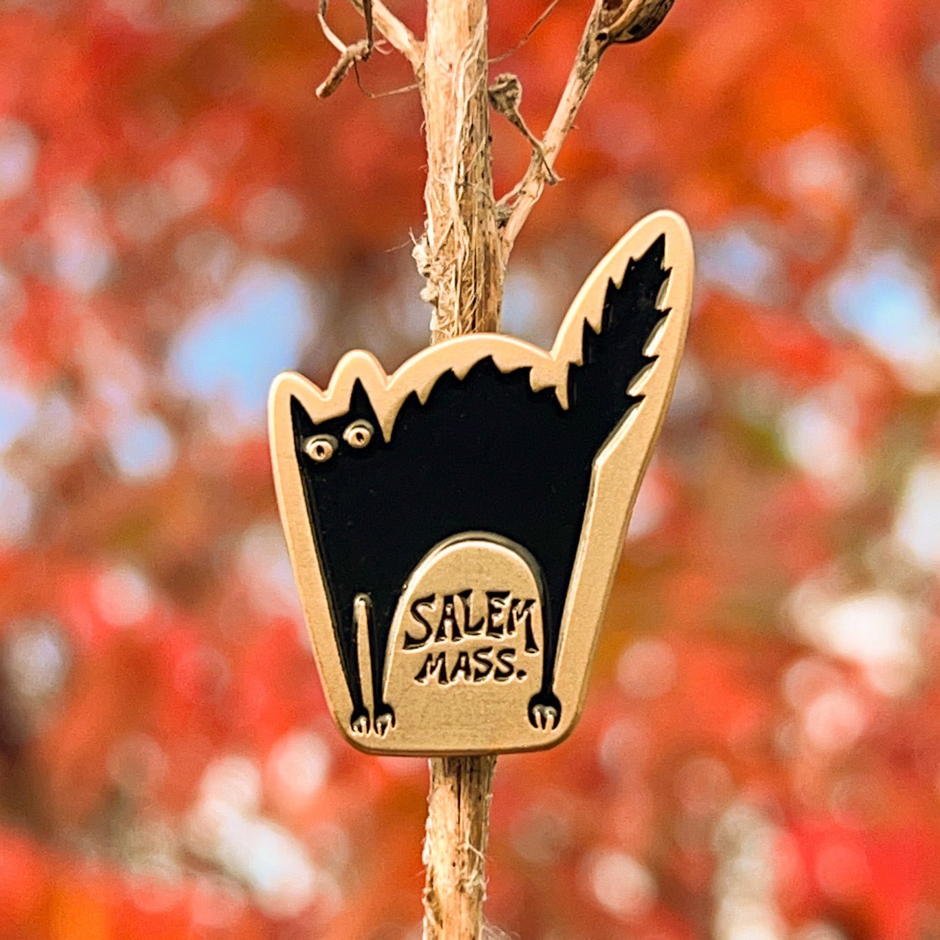 Salem Massachusetts Black Cat Pin by The Roving House