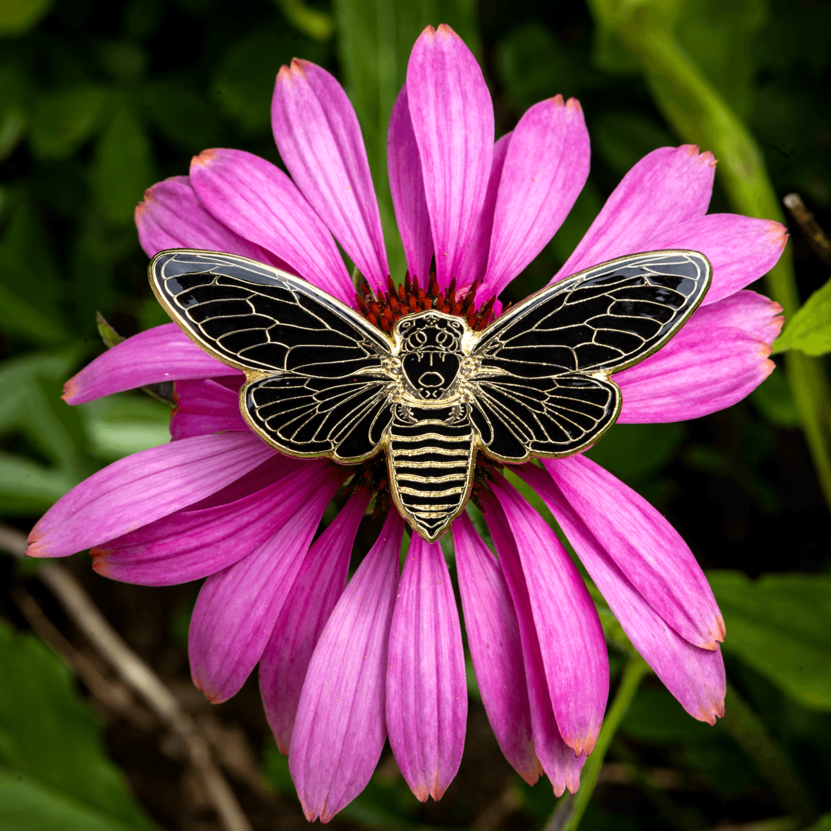 Cicada Pin - Blackout by The Roving House