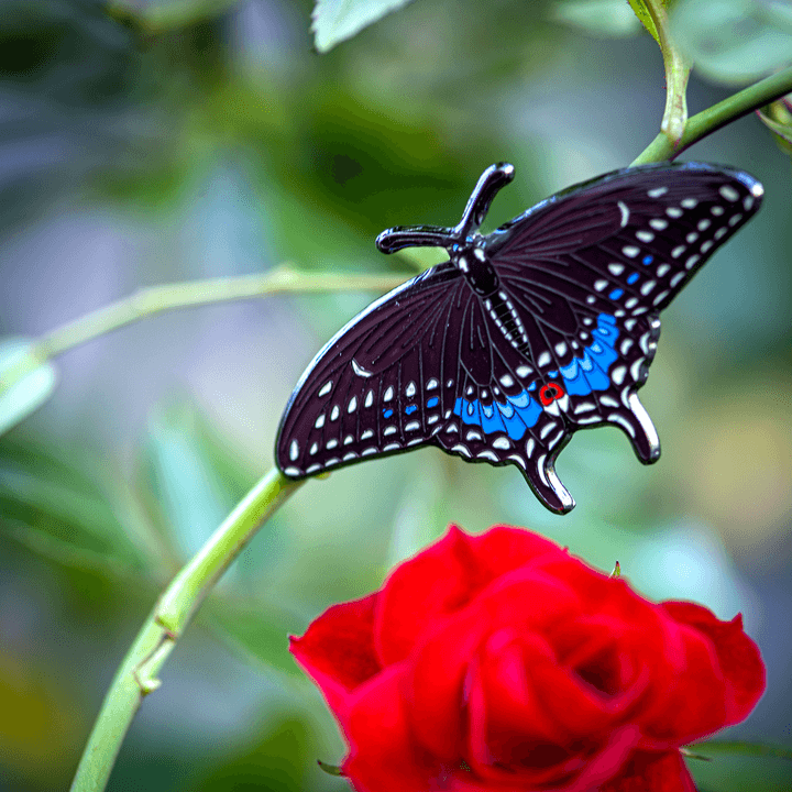 Eastern Black Swallowtail Butterfly Lapel Pin by The Roving House