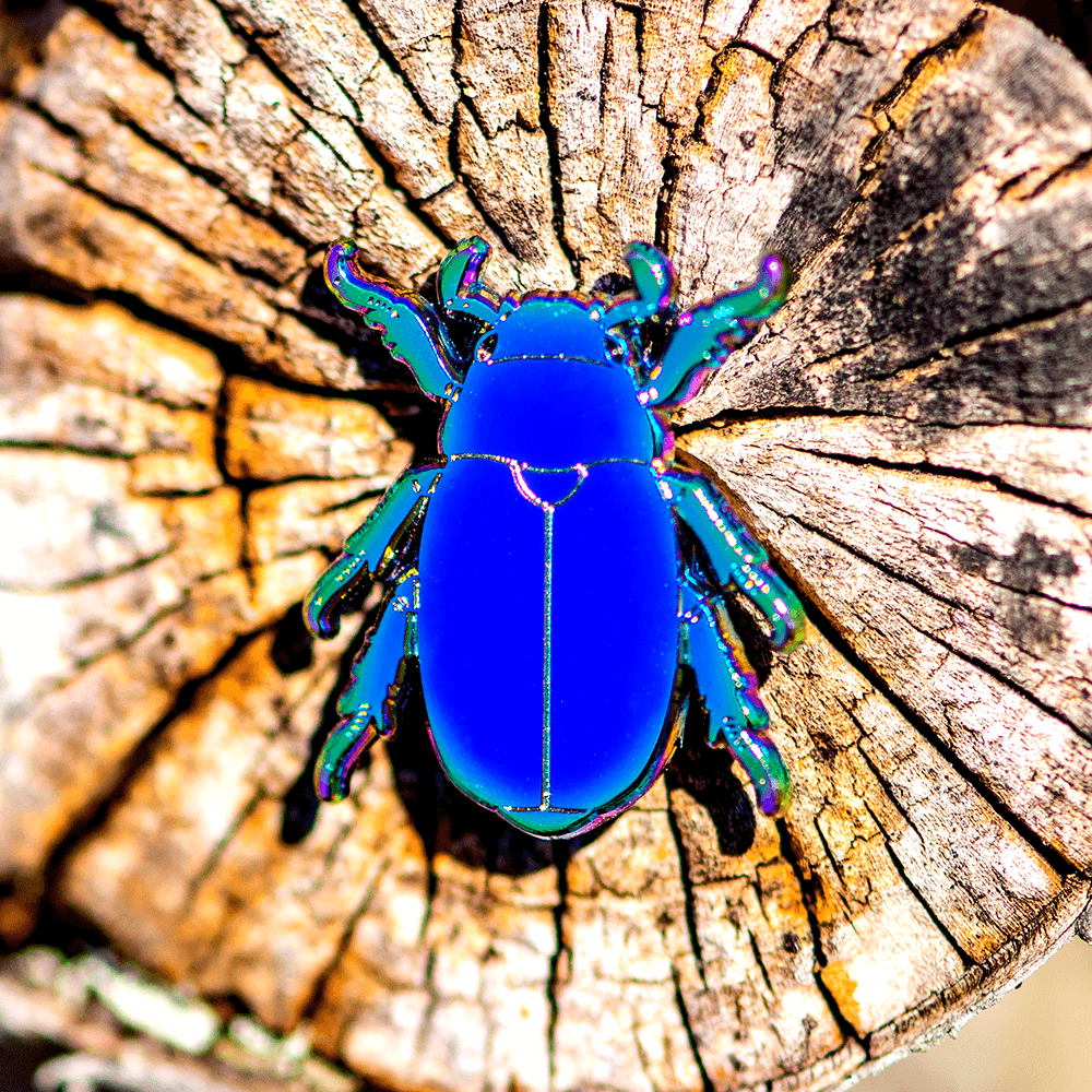 Rainbow Jewel Scarab Beetle Pin by The Roving House