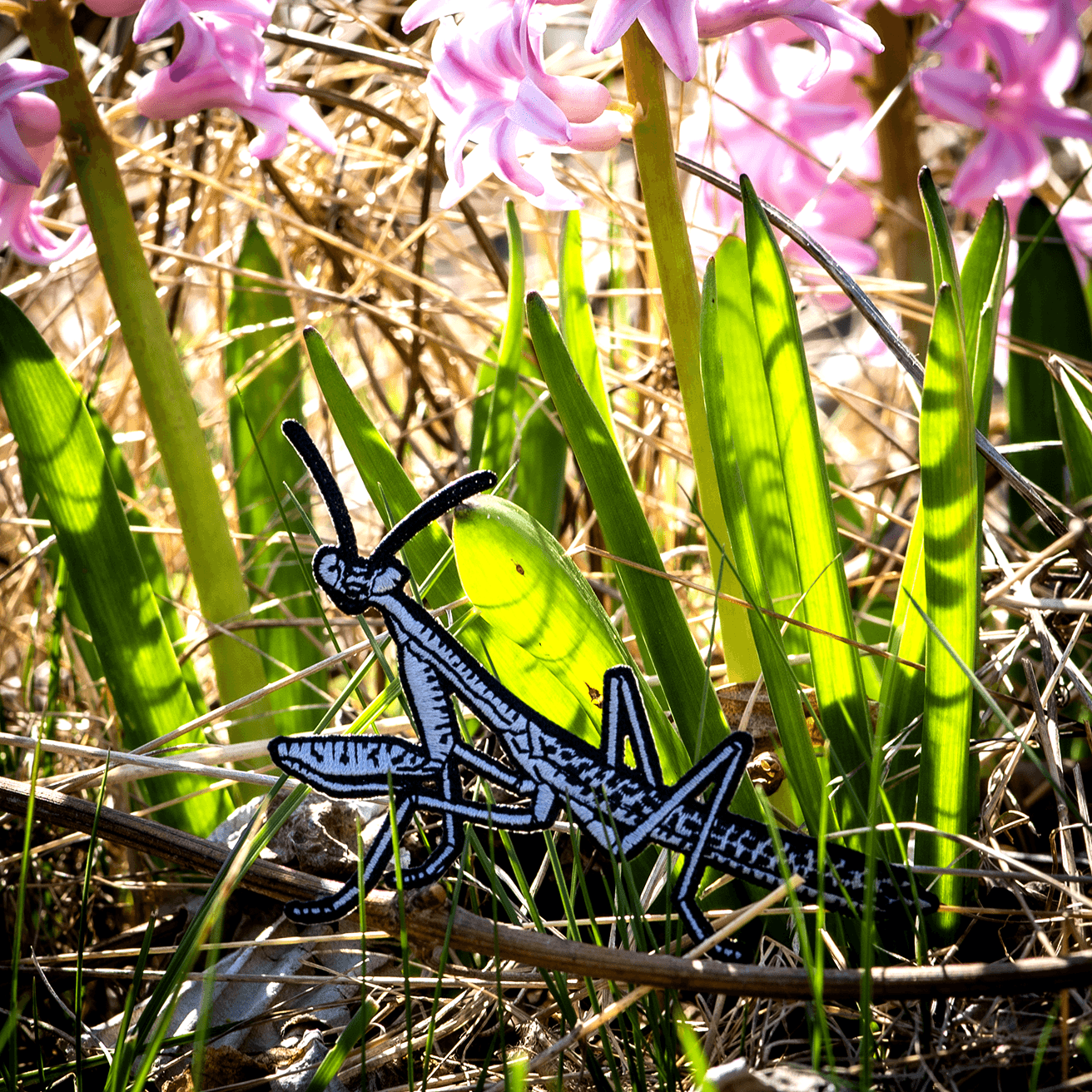 Carolina Mantis Patch by The Roving House