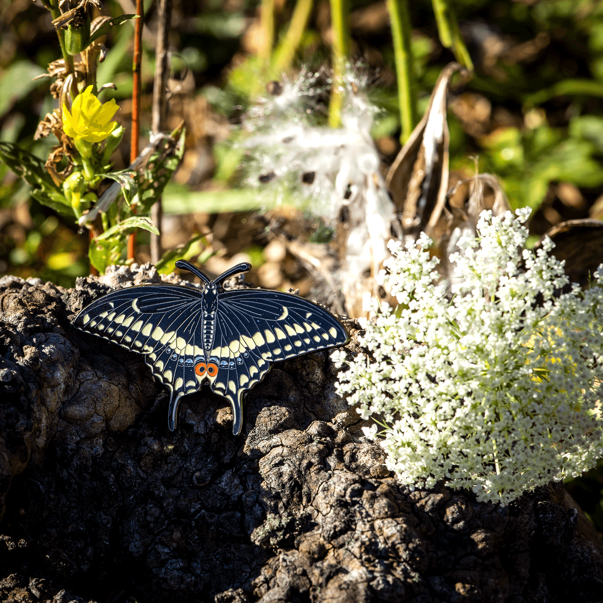 Eastern Black Swallowtail Butterfly Life-sized Pin by The Roving House