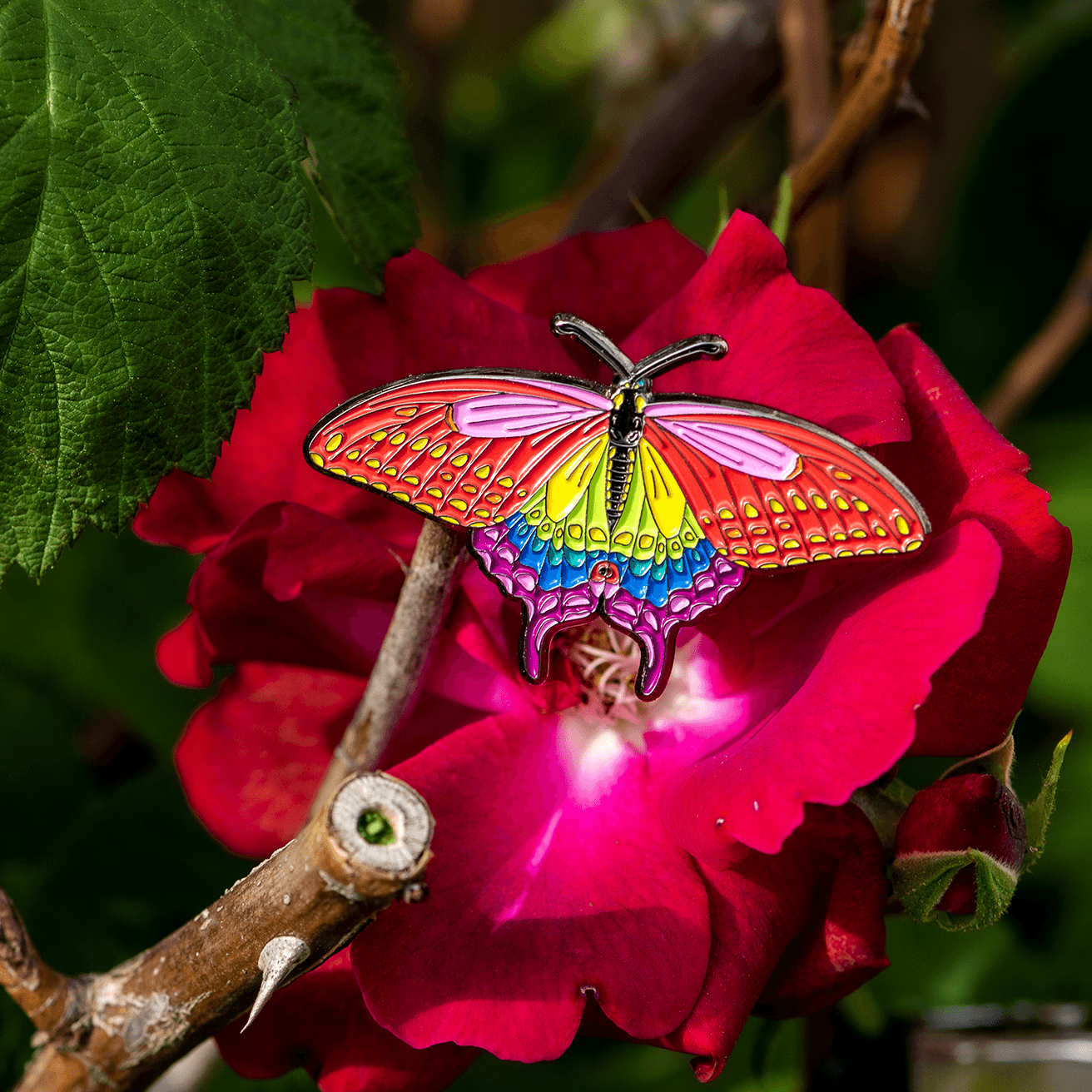 Rainbow Swallowtail Butterfly Pin | 2023 Limited Editions by The Roving House