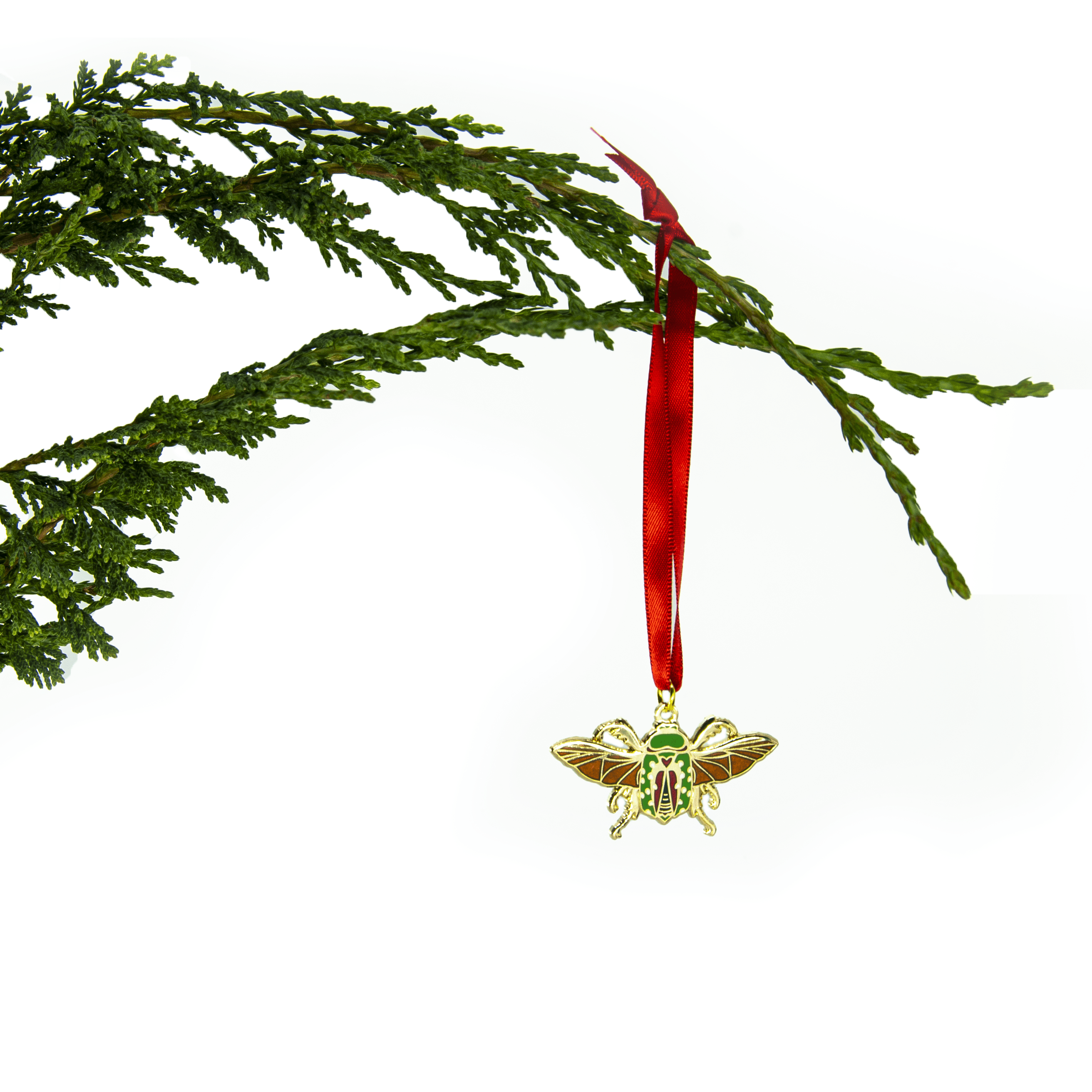 A mistletoe beetle enamel ornament in a "pinned specimen" position in gold metal with green and red shell and orange wings, hanging from a red ribbon on an evergreen branch.