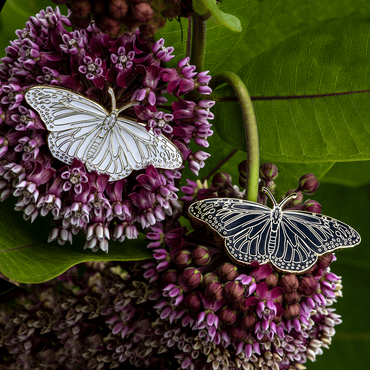 Blackout Butterfly Enamel Pin by The Roving House