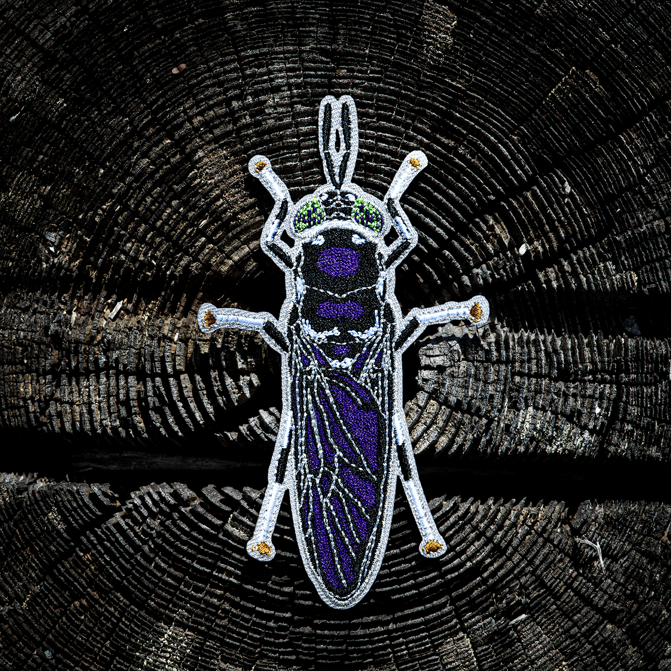 Black Soldier Fly Iron-on Patch by The Roving House