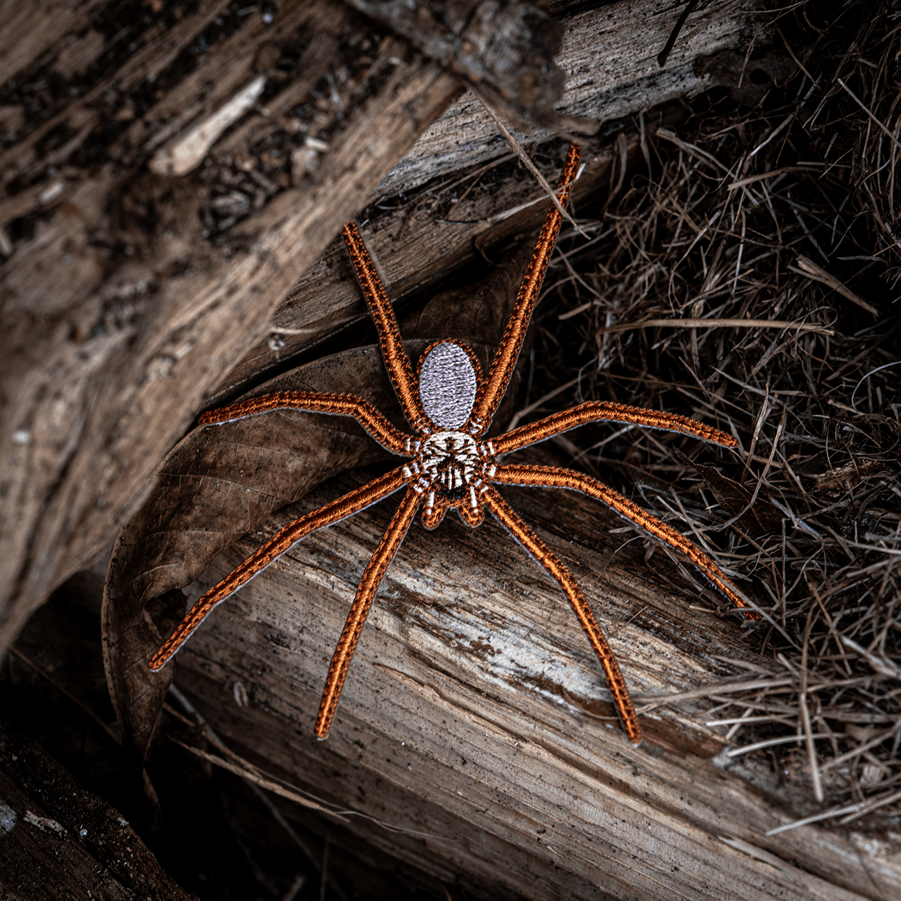 Brown Recluse Iron - on Patch by The Roving House