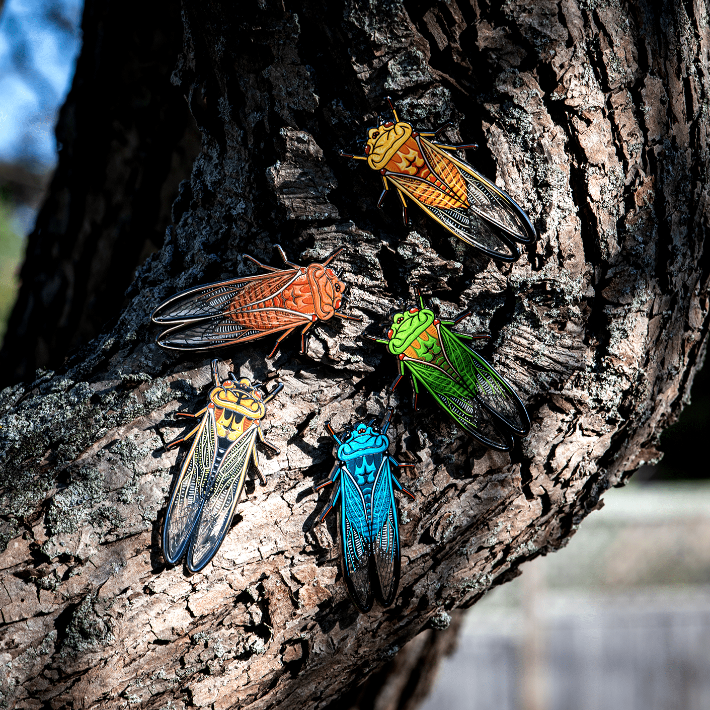 Greengrocer Cicada Bug Box by The Roving House