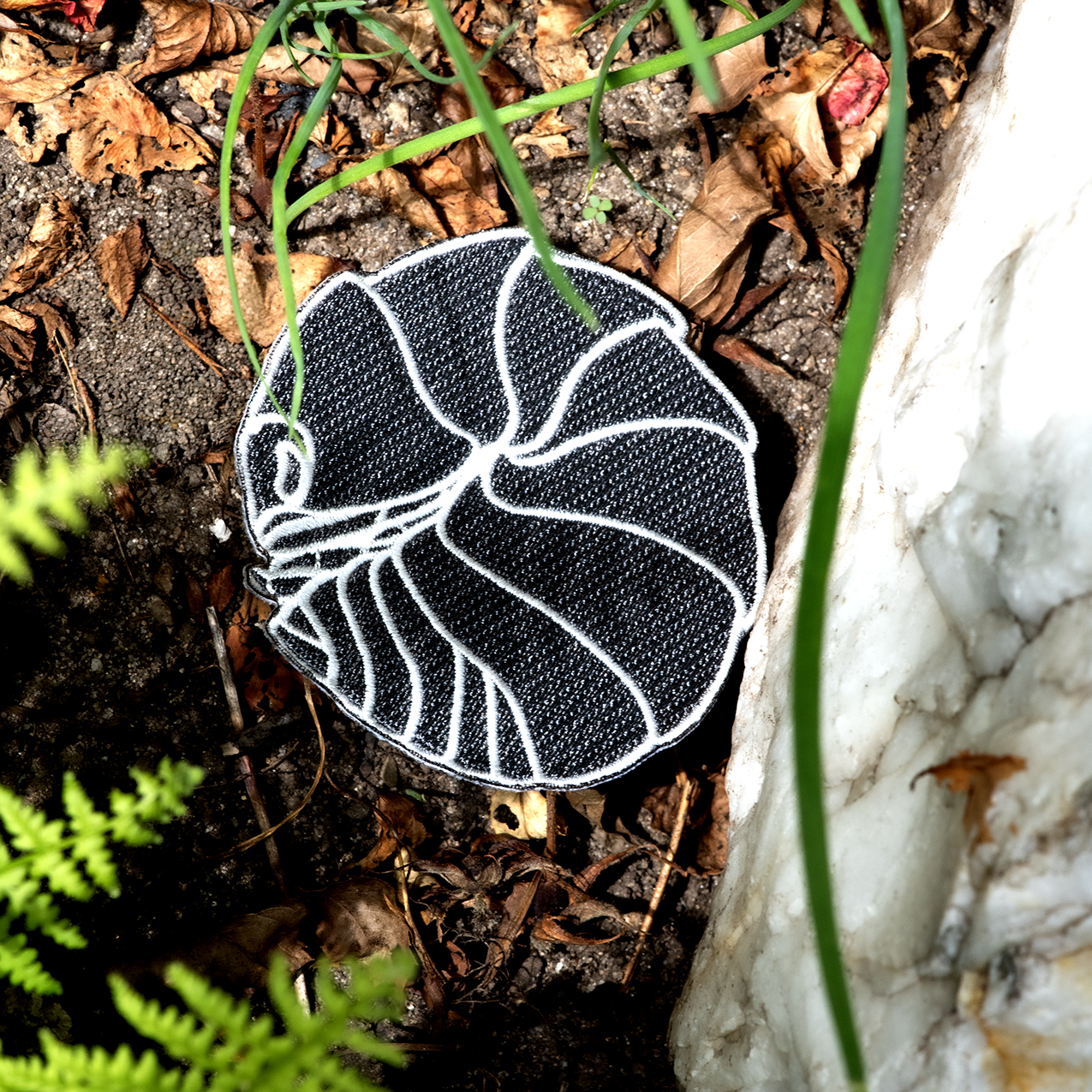 Common Pill-bug Iron-on Patch
