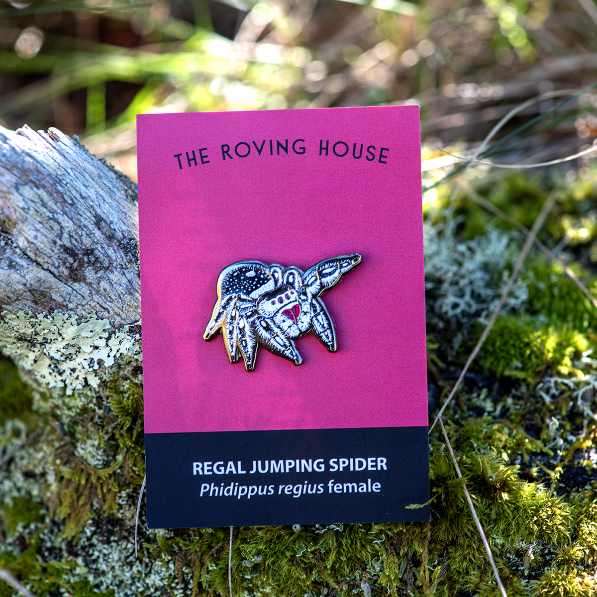 Regal Jumping Spider Female Enamel Pin by The Roving House