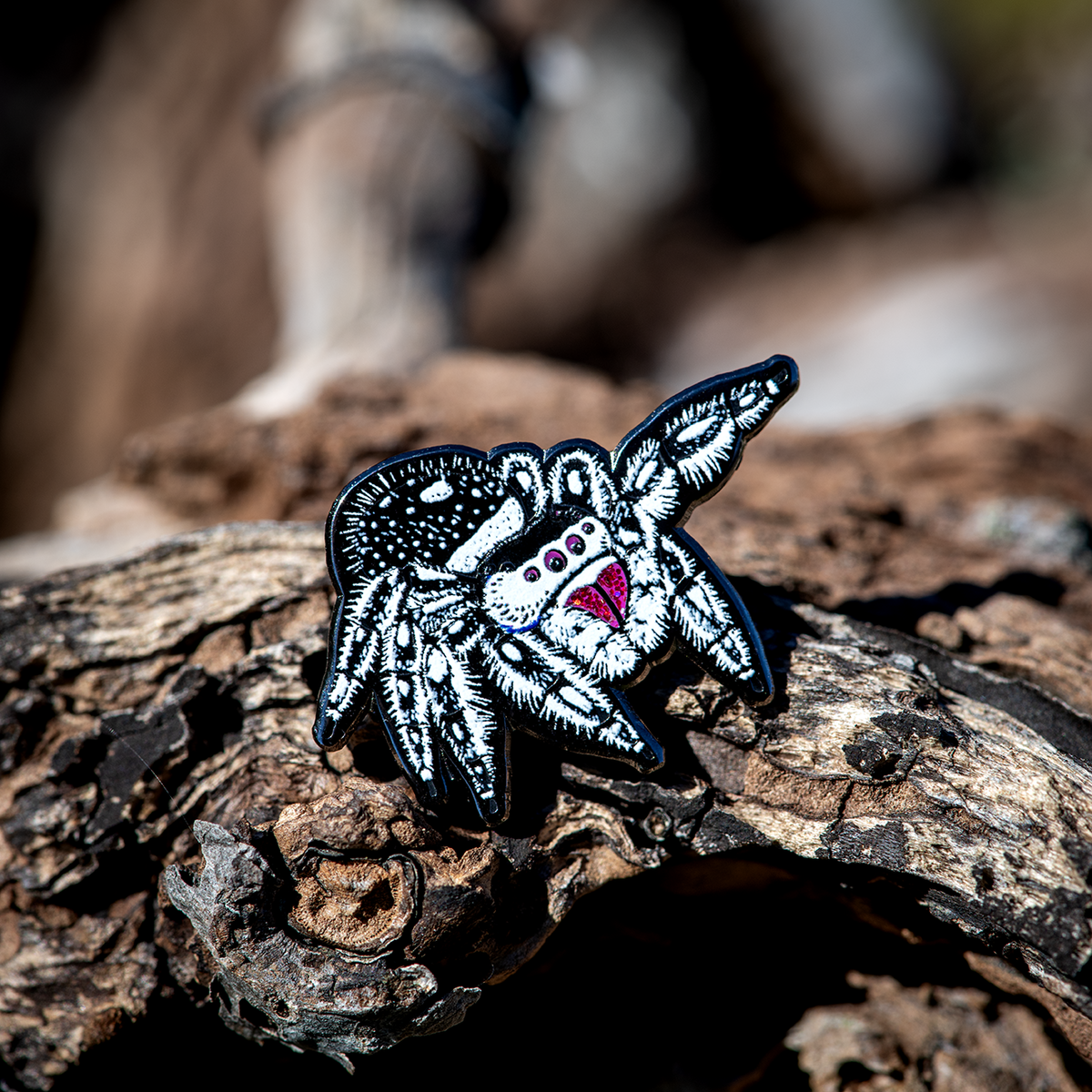 Regal Jumping Spider Female Enamel Pin by The Roving House
