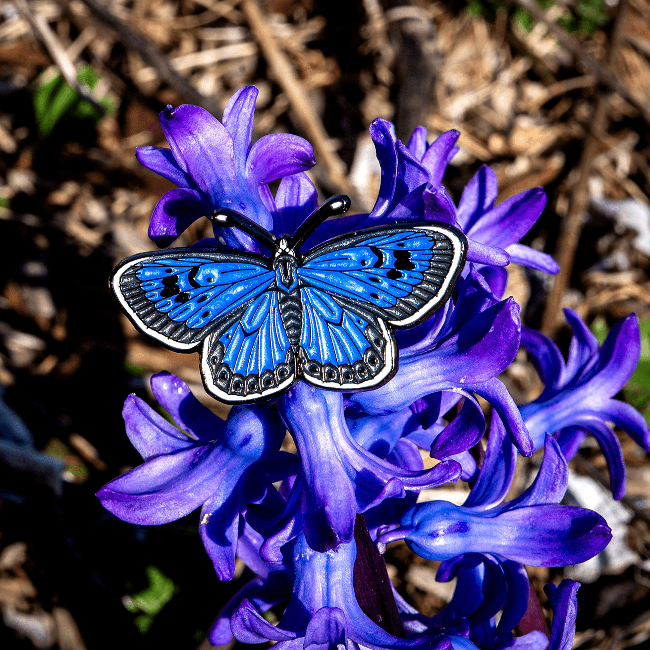 Large Blue Butterfly (Phengaris arion) Enamel Pin by The Roving House