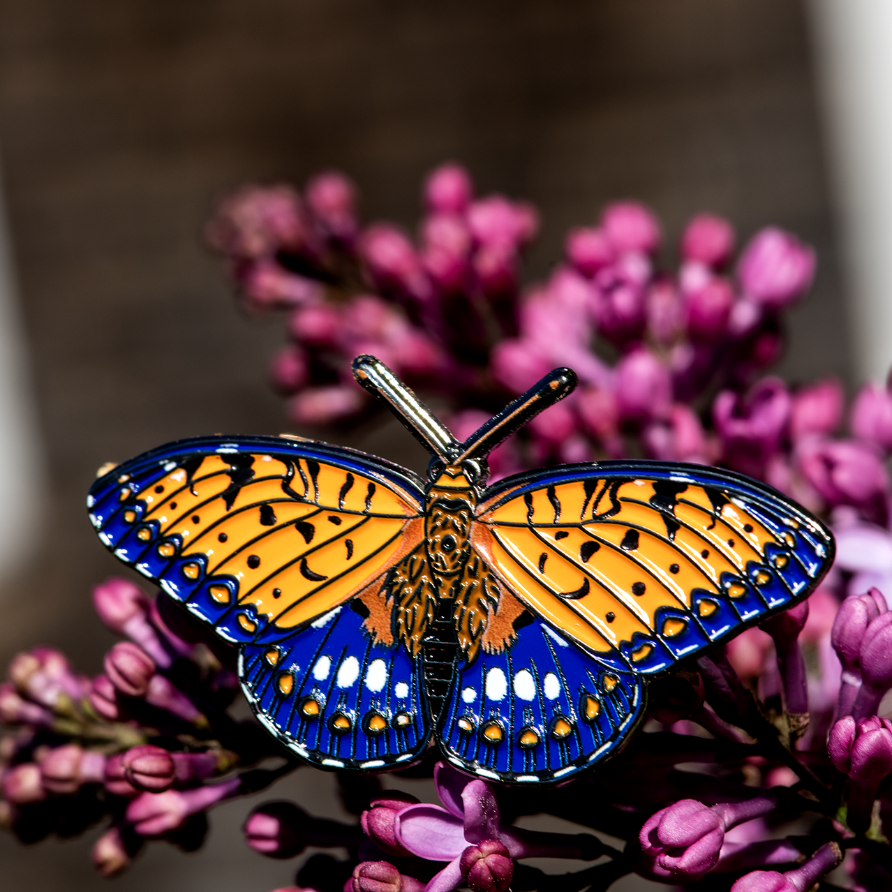 Regal Fritillary Butterfly Bug Box by The Roving House