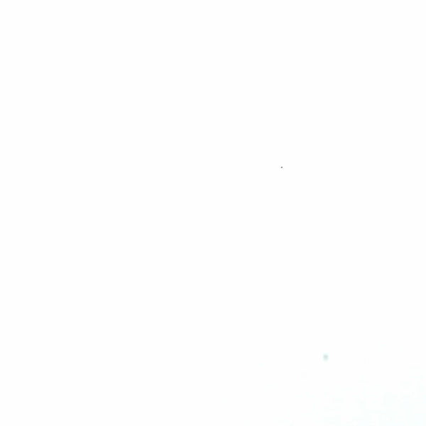 Toilet Paper Stamp Block
