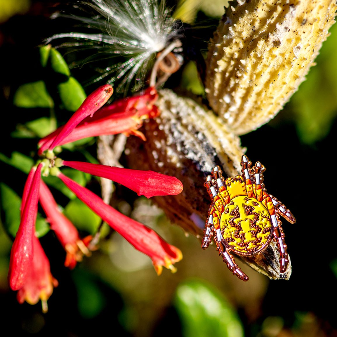 Marbled Orbweaver Female Pin by The Roving House