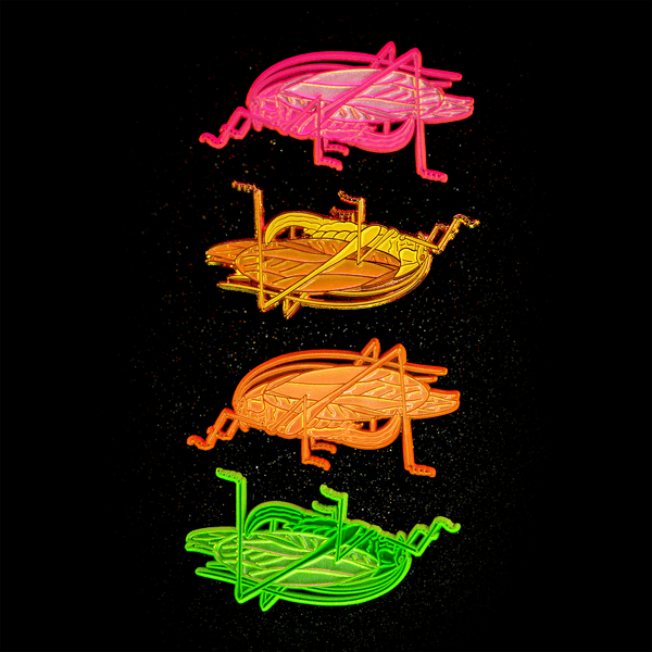August 2023 Bug Box (Oblong-winged Katydid) by The Roving House