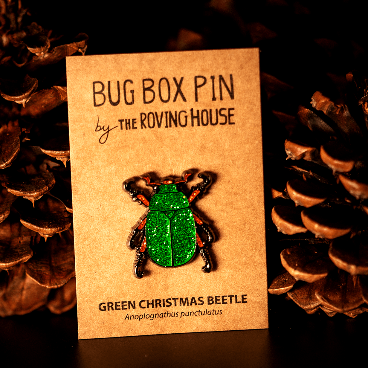 December 2023 Bug Box (Christmas Beetles) by The Roving House