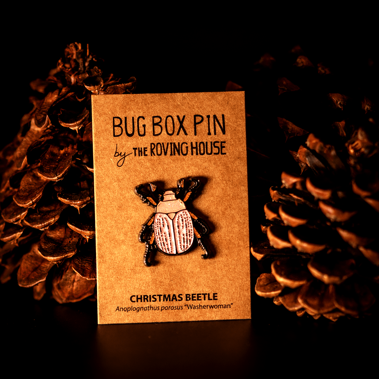 December 2023 Bug Box (Christmas Beetles) by The Roving House