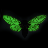 An embroidered patch of the periodical cicada with its wings glowing in the dark.