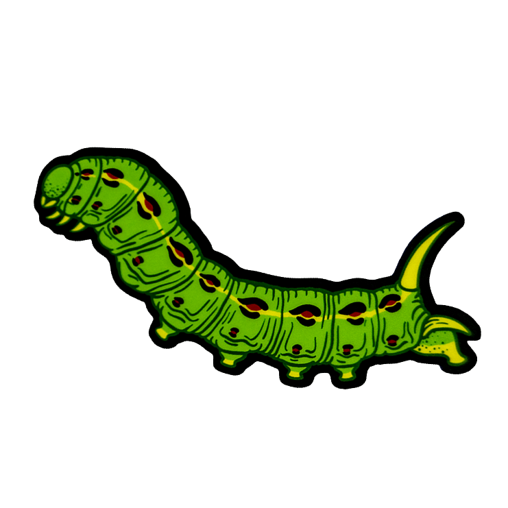 A green, black, yellow, and red vinyl sticker of the White-lined Sphinx Moth's larva (Hyles lineata), a hornworm caterpillar.