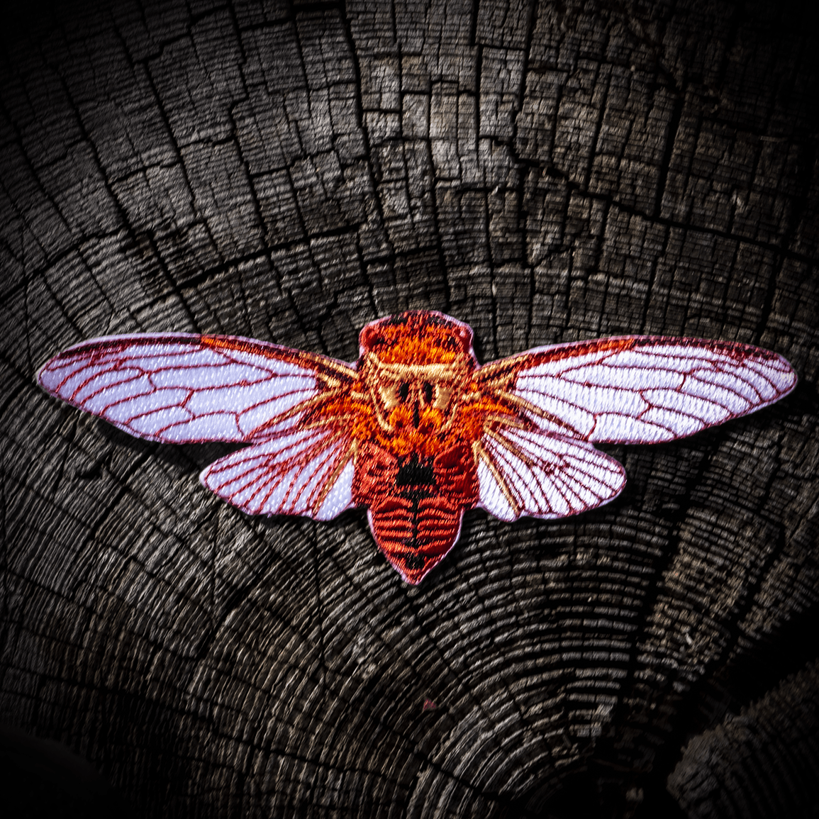 Double Drummer Cicada Patch by The Roving House