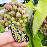 Monarch Caterpillar J Pin