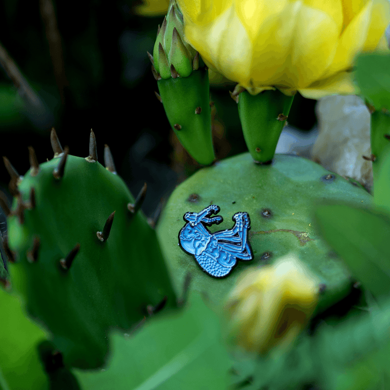 Blue Death Feigning Beetle "Playing Dead" Pin by The Roving House