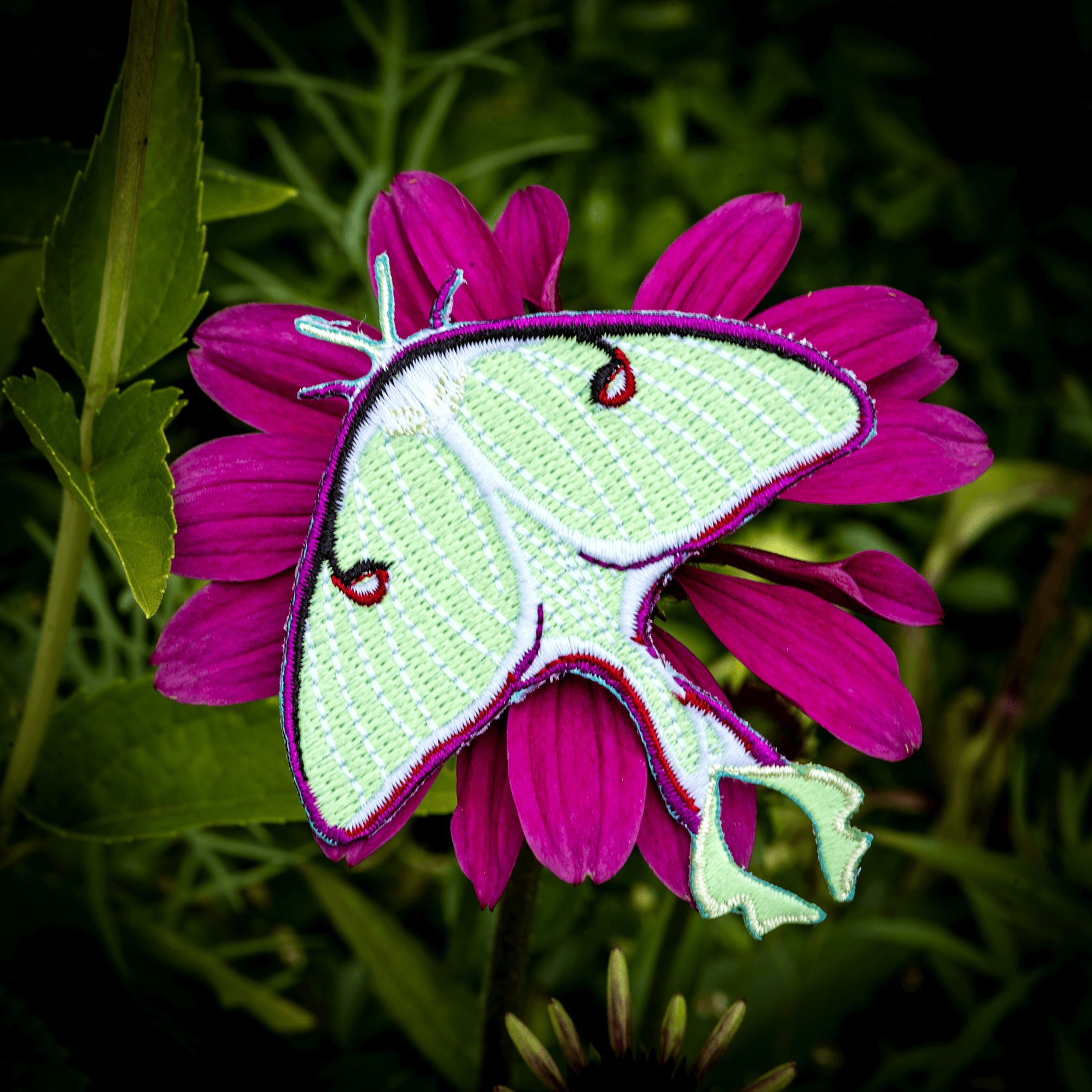 Luna Moth Patch by The Roving House