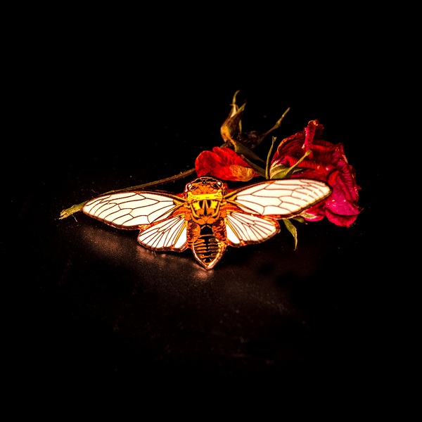 Double Drummer Cicada Pin by The Roving House