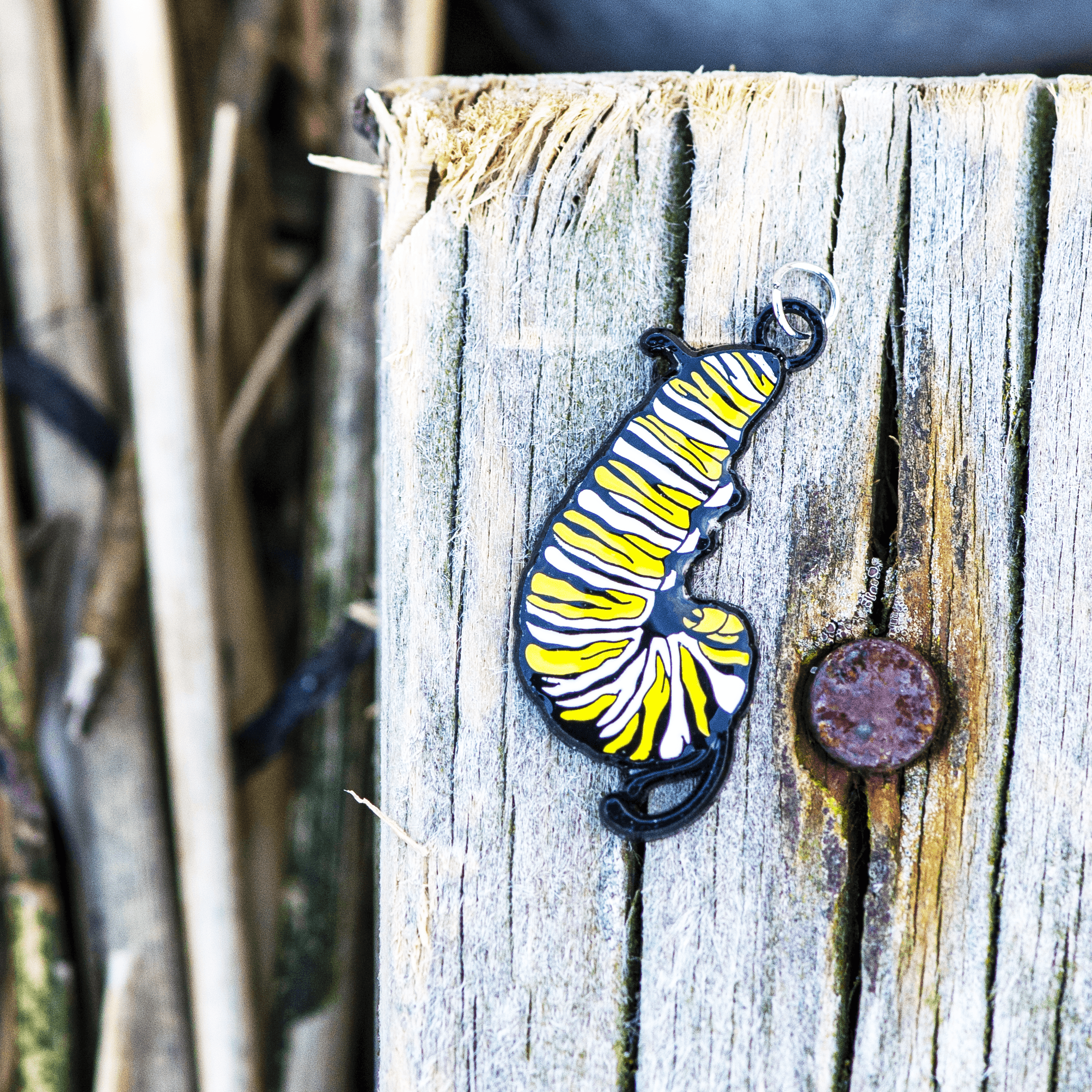 Monarch Caterpillar J Charm by The Roving House