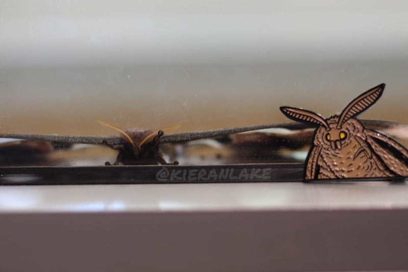 The Moth Meme Enamel Pin