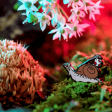 Rover the Snail Mini Pin by The Roving House