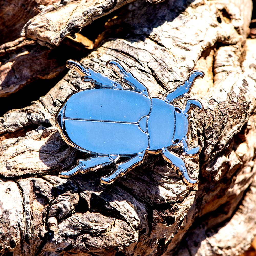 March 2022 Bug Box (Jewel Scarab Beetles)