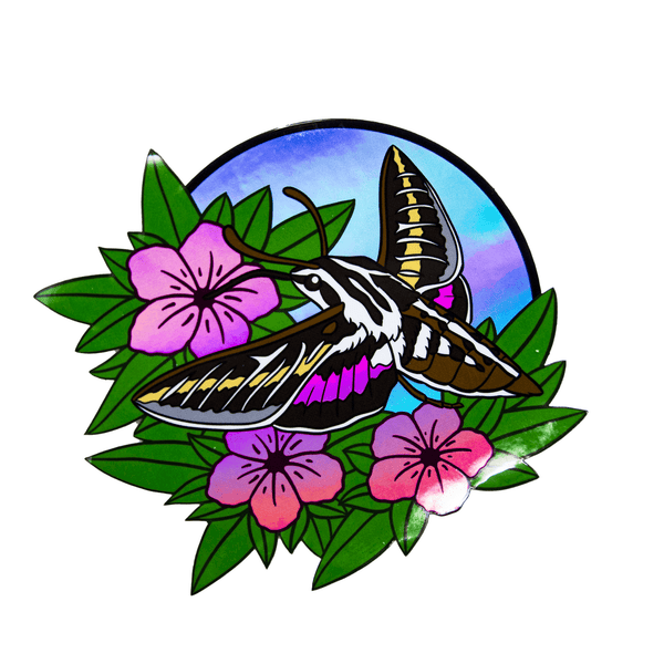 A shimmery, holographic vinyl sticker, featuring a brown, yellow, and pink white-lined sphinx moth drinking nectar from wild petunias..